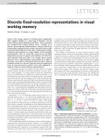 Discrete fixed-resolution representations in visual working memory