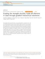 Evading the strength-ductility trade-off dilemma in steel through gradient hierarchical nanotwins