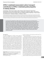 APOL1-mediated monovalent cation transport contributes to APOL1-mediated podocytopathy in kidney disease