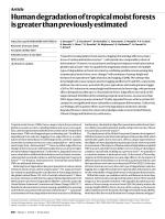 Human degradation of tropical moist forests is greater than previously estimated