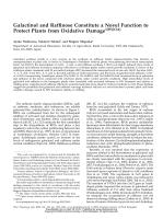 Galactinol and Raffinose Constitute a Novel Function to Protect Plants from Oxidative Damage