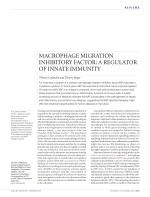 MACROPHAGE MIGRATION INHIBITORY FACTOR: A REGULATOR OF INNATE IMMUNITY