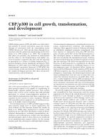 CBP/p300 in cell growth, transformation, and development
