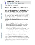 Regulation of Circadian Behavior and Metabolism by Rev-erba and Rev-erbβ