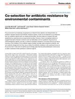 Co-selection for antibiotic resistance by environmental contaminants