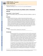 Fibroblast-like synoviocytes: key effector cells in rheumatoid arthritis