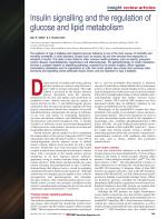 Insulin signalling and the regulation of glucose and lipid metabolism