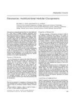 Fibronectins: Multifunctional Modular Glycoproteins