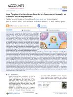 How Droplets Can Accelerate Reactions—Coacervate Protocells as Catalytic Microcompartments