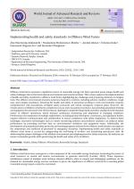 Implementing health and safety standards in Offshore Wind Farms
