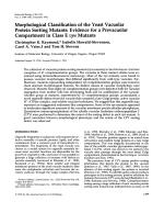 Morphological Classification of the Yeast Vacuolar Protein Sorting Mutants: Evidence for a Prevacuolar Compartment in Class E vps Mutants