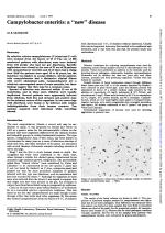 Campylobacter enteritis: a “new” disease