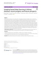 Imaging-based deep learning in kidney diseases: recent progress and future prospects