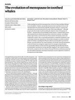 The evolution of menopause in toothed whales