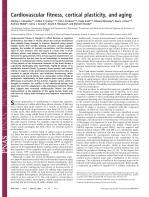Cardiovascular fitness, cortical plasticity, and aging