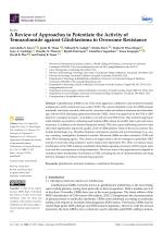 A Review of Approaches to Potentiate the Activity of Temozolomide against Glioblastoma to Overcome Resistance