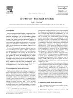 Liver fibrosis – from bench to bedside