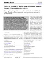 Enhanced Strength for Double Network Hydrogel Adhesive Through Cohesion-Adhesion Balance