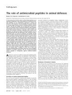The role of antimicrobial peptides in animal defenses
