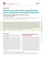 Diabetes and vascular disease: pathophysiology, clinical consequences, and medical therapy: part I