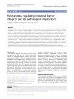 Mechanisms regulating intestinal barrier integrity and its pathological implications