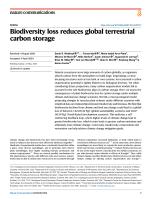 Biodiversity loss reduces global terrestrial carbon storage