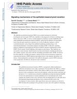 Signaling mechanisms of the epithelial-mesenchymal transition