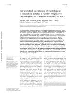 Intracerebral inoculation of pathological α-synuclein initiates a rapidly progressive neurodegenerative α-synucleinopathy in mice
