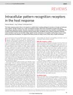 Intracellular pattern recognition receptors in the host response