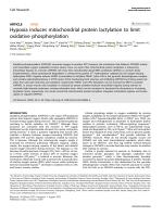 Hypoxia induces mitochondrial protein lactylation to limit oxidative phosphorylation