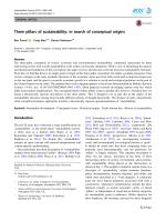 Three pillars of sustainability: in search of conceptual origins