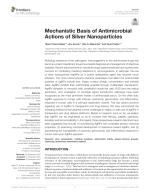 Mechanistic Basis of Antimicrobial Actions of Silver Nanoparticles