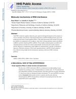Molecular mechanisms of RNA interference