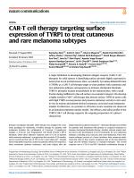 CAR-T cell therapy targeting surface expression of TYRP1 to treat cutaneous and rare melanoma subtypes