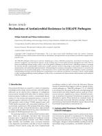Mechanisms of Antimicrobial Resistance in ESKAPE Pathogens