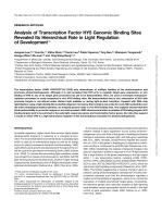 Analysis of Transcription Factor HY5 Genomic Binding Sites Revealed Its Hierarchical Role in Light Regulation of Development