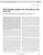 Notch signalling regulates stem cell numbers in vitro and in vivo