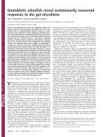Gnotobiotic zebrafish reveal evolutionarily conserved responses to the gut microbiota