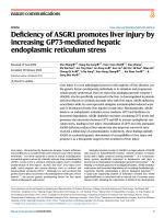 Deficiency of ASGR1 promotes liver injury by increasing GP73-mediated hepatic endoplasmic reticulum stress