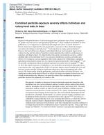 Combined pesticide exposure severely affects individual- and colony-level traits in bees