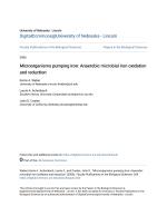 Microorganisms pumping iron: Anaerobic microbial iron oxidation and reduction