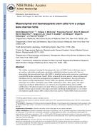 Mesenchymal and haematopoietic stem cells form a unique bone marrow niche