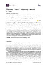 Noncoding RNA:RNA Regulatory Networks in Cancer