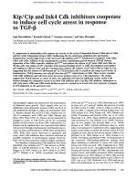 Kip/Cip and Ink4 Cdk inhibitors cooperate to induce cell cycle arrest in response to TGF-β