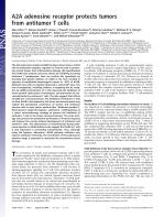 A2A adenosine receptor protects tumors from antitumor T cells