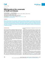 Mitochondria at the crossroads of health and disease