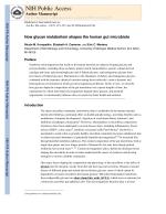 How glycan metabolism shapes the human gut microbiota