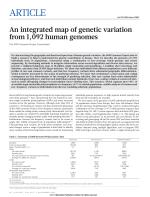 An integrated map of genetic variation from 1,092 human genomes