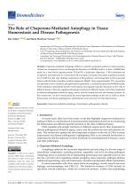 The Role of Chaperone-Mediated Autophagy in Tissue Homeostasis and Disease Pathogenesis