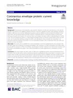 Coronavirus envelope protein: current knowledge